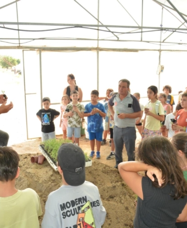 0a3d4c89-47ee-4e93-9a89-84ac007ed4b4