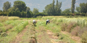 30eb7d20-4968-42c3-a549-f81905a80135