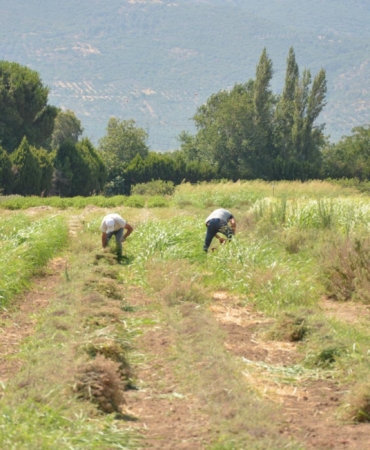 30eb7d20-4968-42c3-a549-f81905a80135