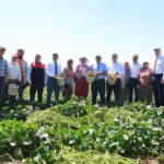 525055131_1151996330304561_3662637409446901587_n