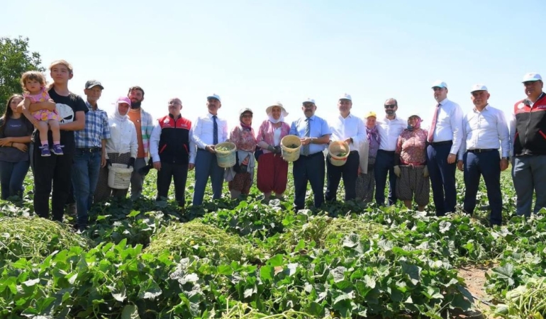 BALIKESİR’DE KORNİŞON BEREKETİ