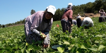 8862dcae-c0a4-48aa-90cb-e024dee86931