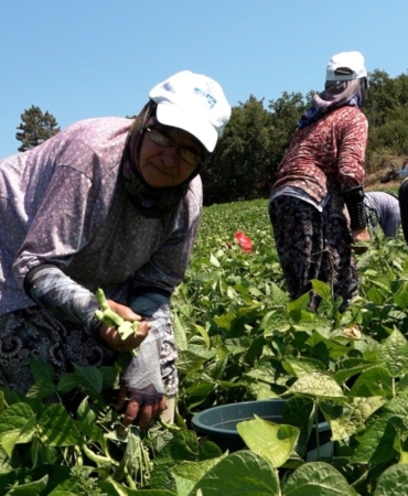 8862dcae-c0a4-48aa-90cb-e024dee86931