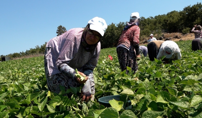 8862dcae-c0a4-48aa-90cb-e024dee86931