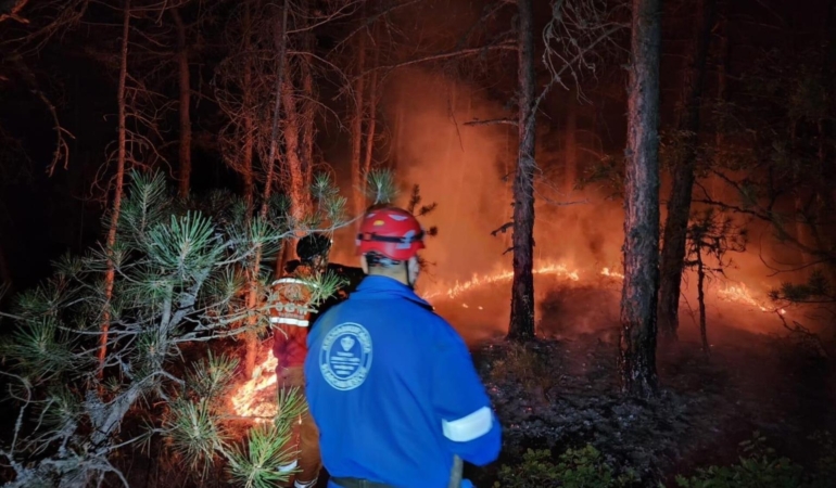TDV Yangın Bölgelerinde Aktif