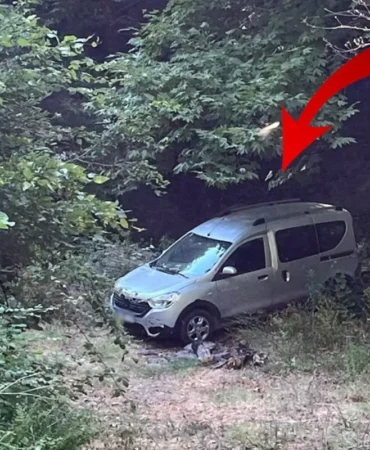 erdek-te-gunlerdir-devam-eden-su-kesintisiyle-18870064_2015_amp