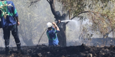 photo_2025-07-29_15-51-03