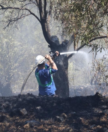 photo_2025-07-29_15-51-03