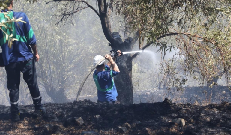 EDREMİT ÇAMLIBEL’DEKİ YANGIN HIZLA SÖNDÜRÜLDÜ