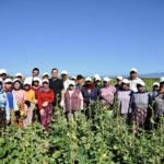 19c72137-10dc-4bb8-9369-687d25d42920