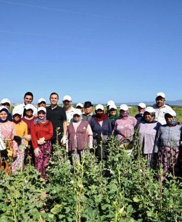 19c72137-10dc-4bb8-9369-687d25d42920