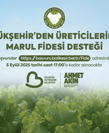 206c41c4-1826-4afa-a613-34d244e5e2bb