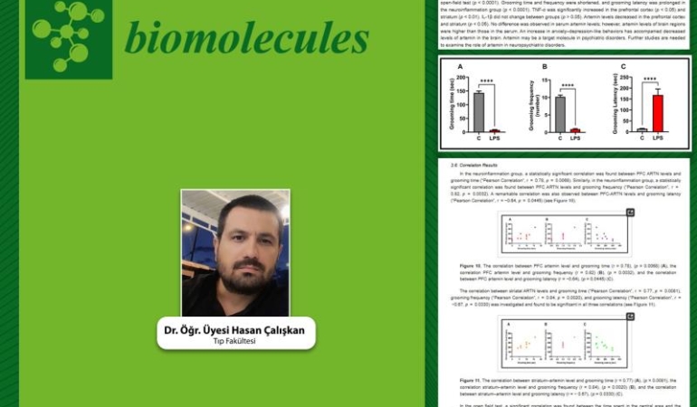 ARTEMİN HORMONU DEPRESYONA KARŞI KORUYOR