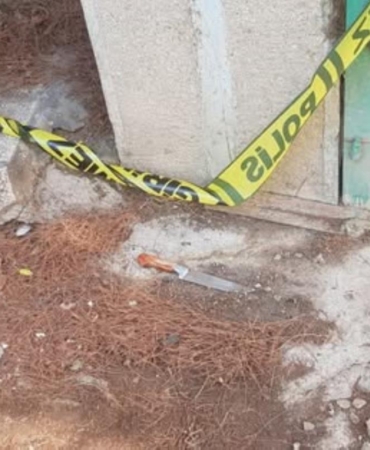 514272920_1337796888349796_2604616194430478747_n