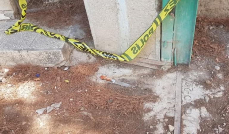 514272920_1337796888349796_2604616194430478747_n