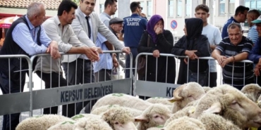 525951097_1173486791479676_1216324345700864549_n