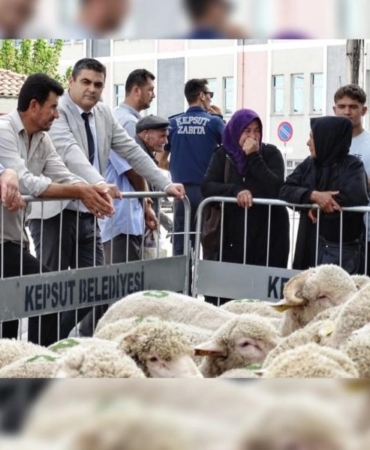 525951097_1173486791479676_1216324345700864549_n