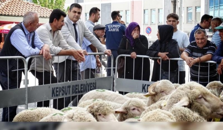 KÜÇÜKBAŞ ÜRETİCİLERİNE BÜYÜK DESTEK