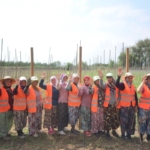 526298437_1203600178474985_3123140195723075496_n