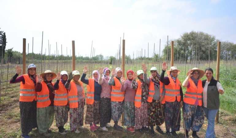 526298437_1203600178474985_3123140195723075496_n