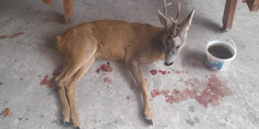 526454281_1100169535578996_8703447217922815495_n