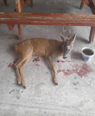 526454281_1100169535578996_8703447217922815495_n