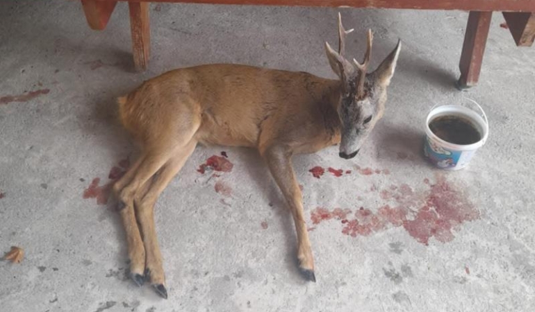 526454281_1100169535578996_8703447217922815495_n