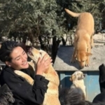 528636970_18382728841132316_5284989841515178292_n