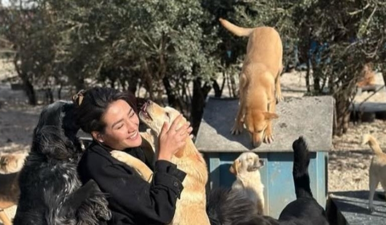 528636970_18382728841132316_5284989841515178292_n