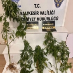 528702561_1103362495259700_7003707190085468512_n