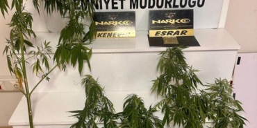 528702561_1103362495259700_7003707190085468512_n