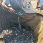 529376876_1158297196341141_9147117601785711409_n