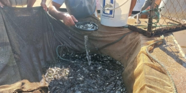 529376876_1158297196341141_9147117601785711409_n