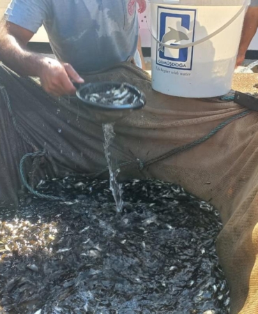 529376876_1158297196341141_9147117601785711409_n