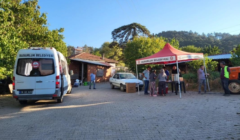 530352753_122206647356101939_9075576859007783134_n