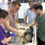 531264612_1191307639693092_5945734335452575453_n