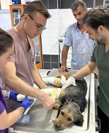 531264612_1191307639693092_5945734335452575453_n