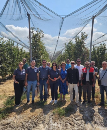 532009053_1165097512327776_3295433963424692462_n