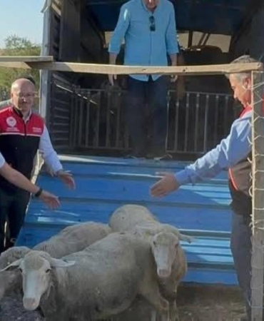 532333920_1168474561965917_5589828425197550395_n