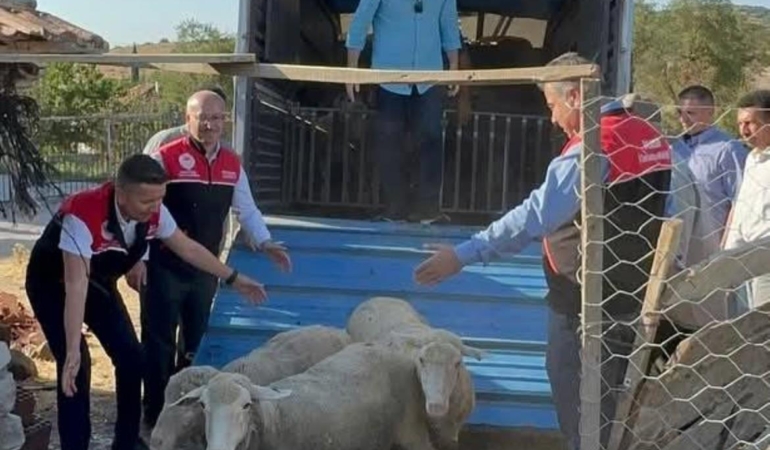 SINDIRGI ÇİFTÇİSİNE DEVLET DESTEĞİ!