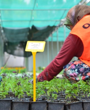 533528304_1218576810310655_1244359669069844850_n