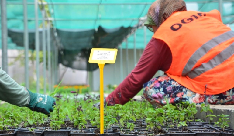 533528304_1218576810310655_1244359669069844850_n