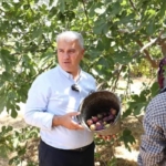 534155739_18525252838049268_1661663270005991928_n