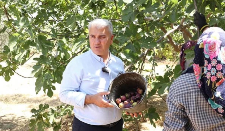 534155739_18525252838049268_1661663270005991928_n