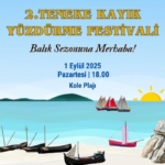 536268386_1154078376753838_4836250750312476185_n