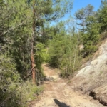 536271854_1220329806802022_3414989154933323591_n