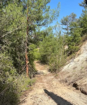 536271854_1220329806802022_3414989154933323591_n