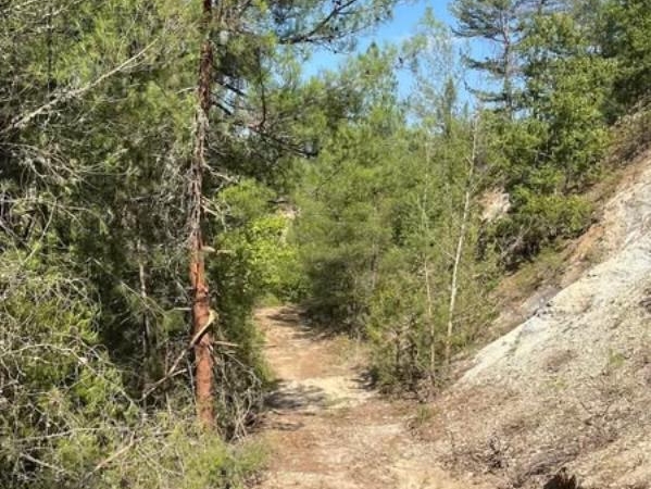 DURSUNBEY’İN ORMAN YOLLARI BAKIMDAN GEÇİYOR