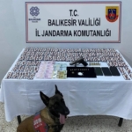 537741854_770265742416767_1218058226541682170_n