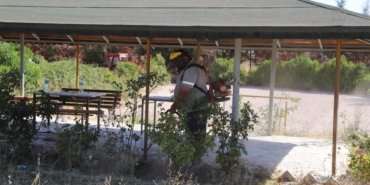 538789920_1214192134084155_8918943613972644178_n